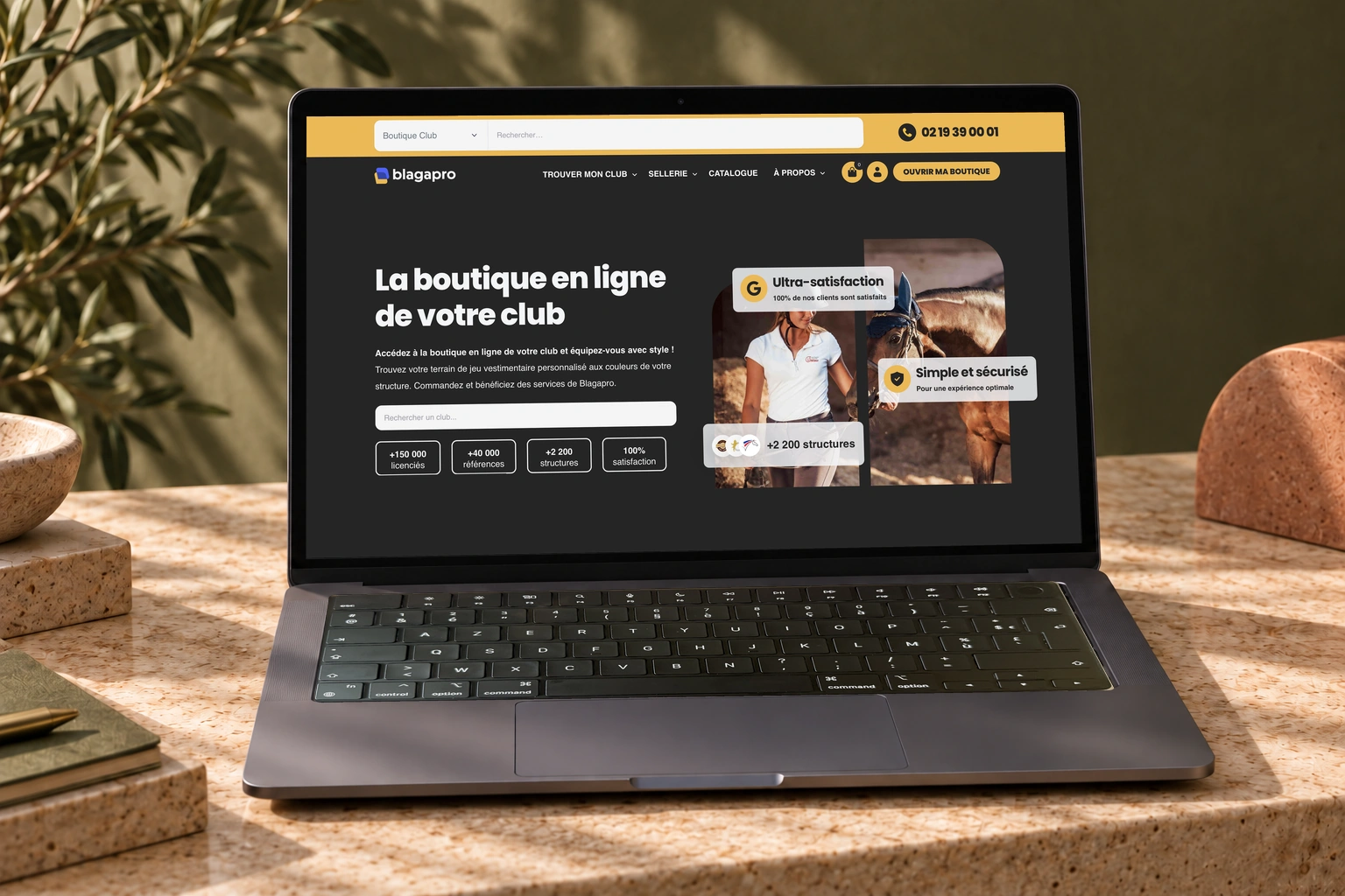 Blagapro — Mise en situation du site web